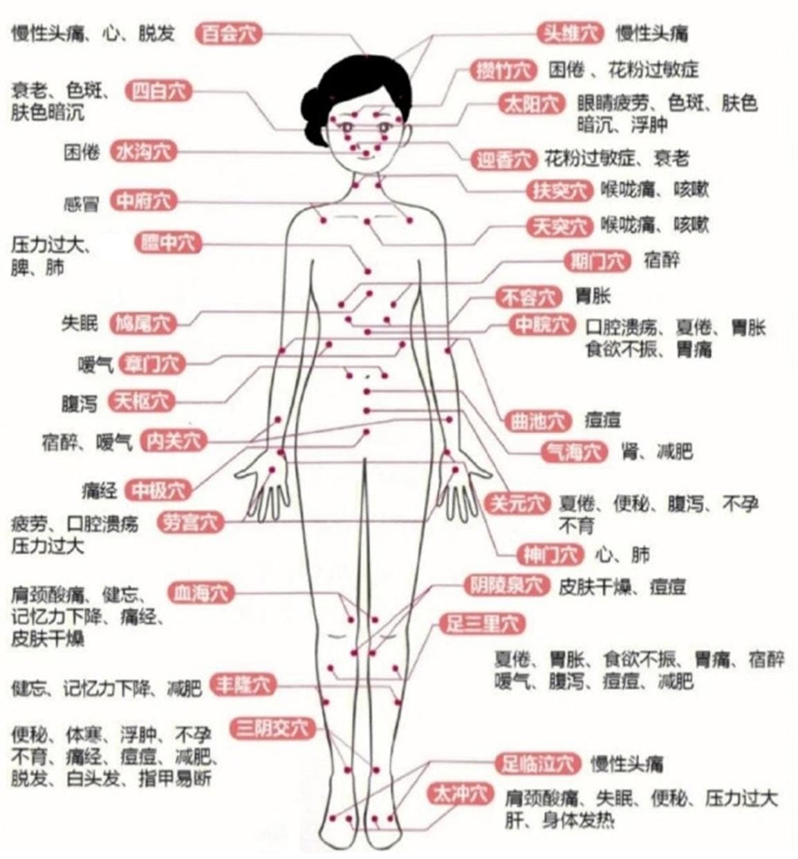 民间偏方“放血”疗法有什么生物力学依据吗？