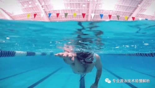 如何掌握自由泳？动作要领图解与高效呼吸技巧大揭秘
