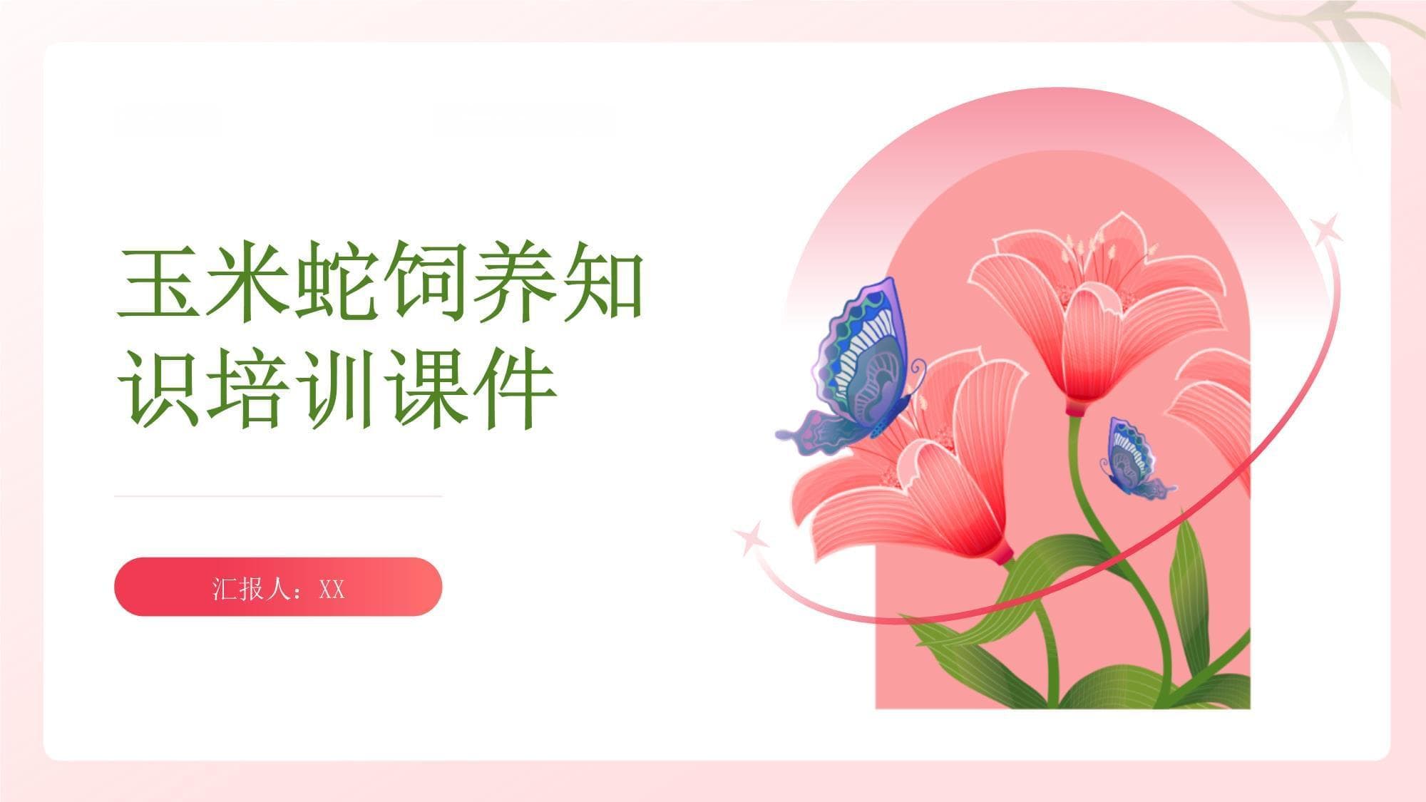 玉米蛇饲养知识培训课件