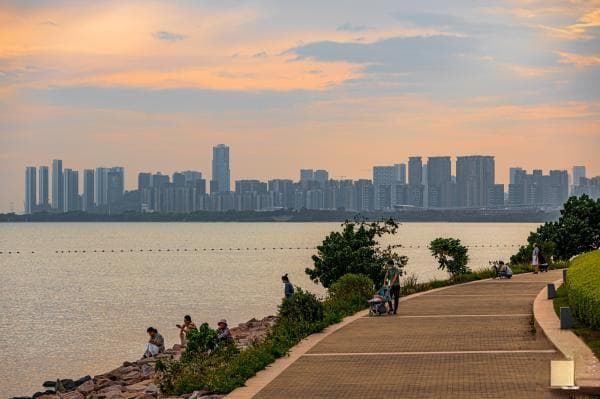 深圳湾公园停车场指南
