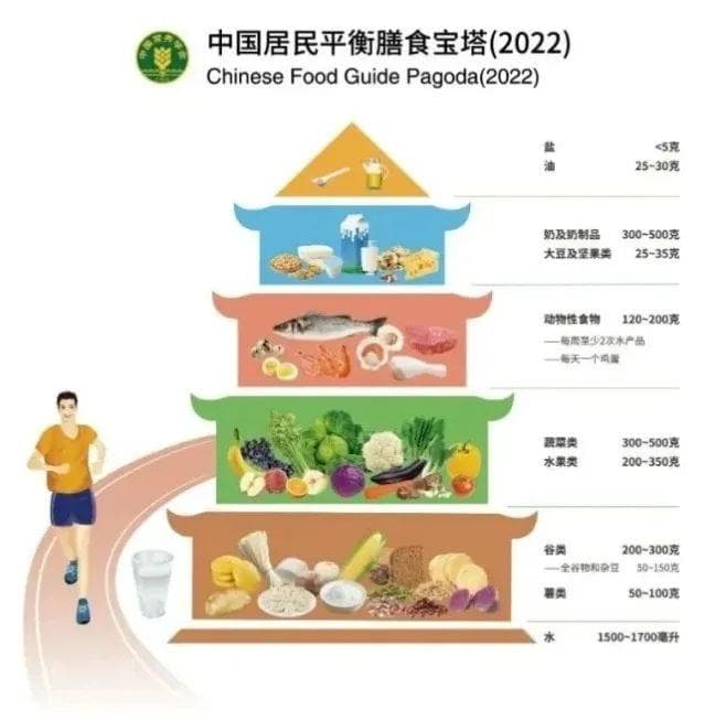 健康饮食入门 | 你需要知道的基本概念