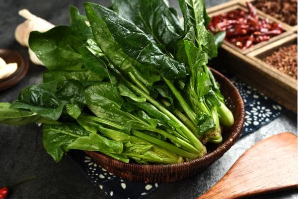 适合春天种的十种蔬菜