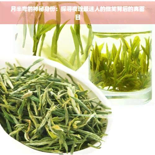 月半弯的神秘身份：探寻夜晚最迷人的微笑背后的真面目