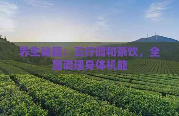五行调和茶饮：科学调理身体机能的养生之道