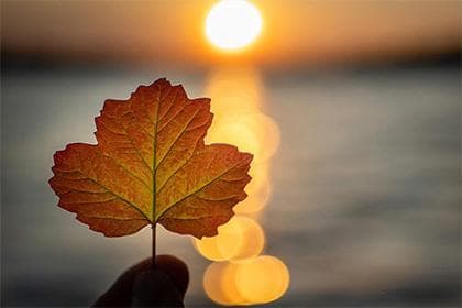 戊辰日柱五行属性 戊辰日柱命运分析