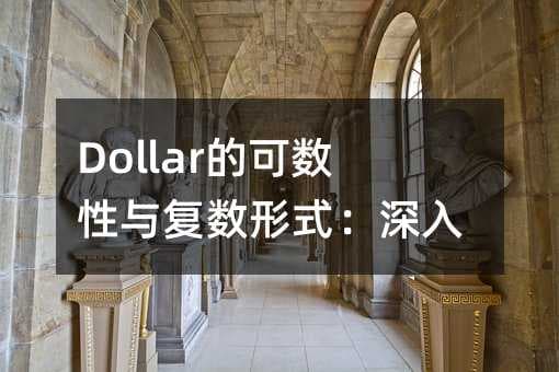 Dollar的可数性与复数形式：深入解析
