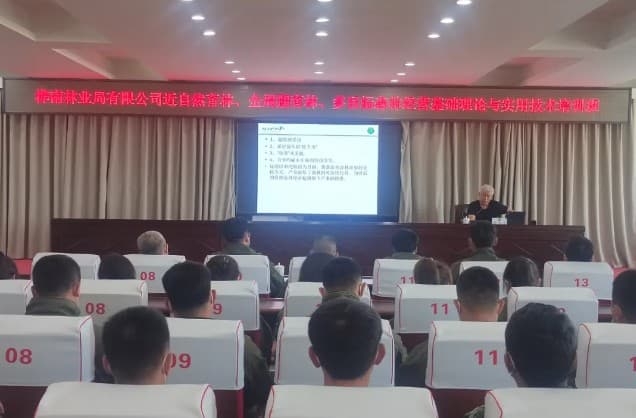 桦南林业局：向“绿”而行 擦亮生态底色
