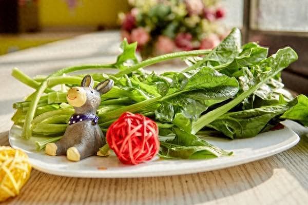 把春天带回家！常见的7种春菜这个春天错过就可惜了！