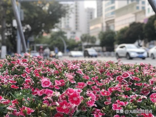 广东属于什么气候类型（广东的气候环境怎么样）