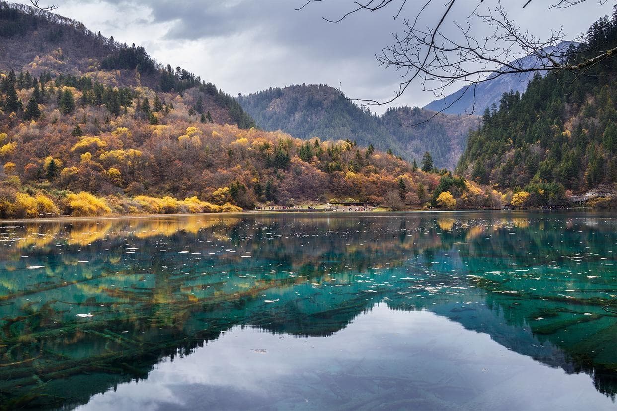 如何在网上订购旅游团？三个实用建议助你轻松选择