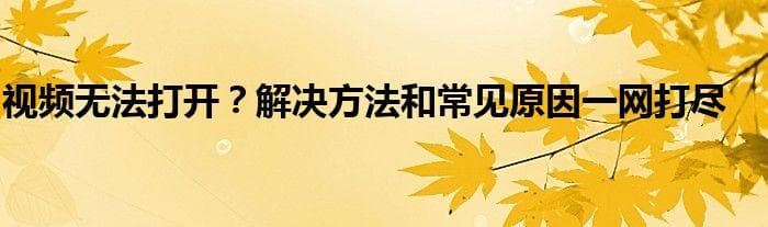 视频无法打开？解决方法和常见原因一网打尽