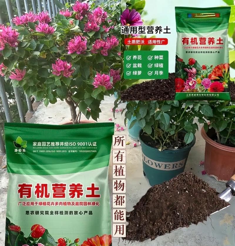 营养土到手，如何直接种花？（营养土的使用方法和种植技巧分享）