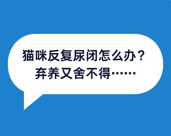 猫咪尿闭复发？可能是铲屎官忽略了这点