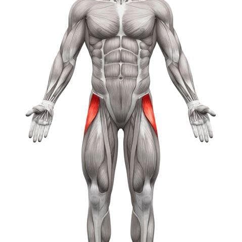 阔筋膜张肌肌筋膜疼痛综合征：症状、影响与缓解方法