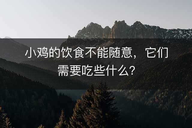 母鸡的饮食不能随意，它们需要吃些什么？