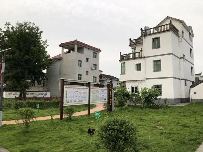 专家观点｜关于民营企业投资开发乡村旅游的几点思考