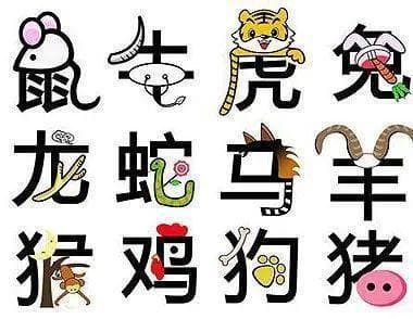 十二生肖的由来：揭秘十二生肖与十二地支的神秘联系