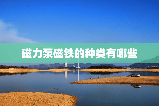 磁力泵磁铁的种类有哪些