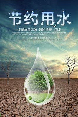保护我们的地球：实用环保小贴士