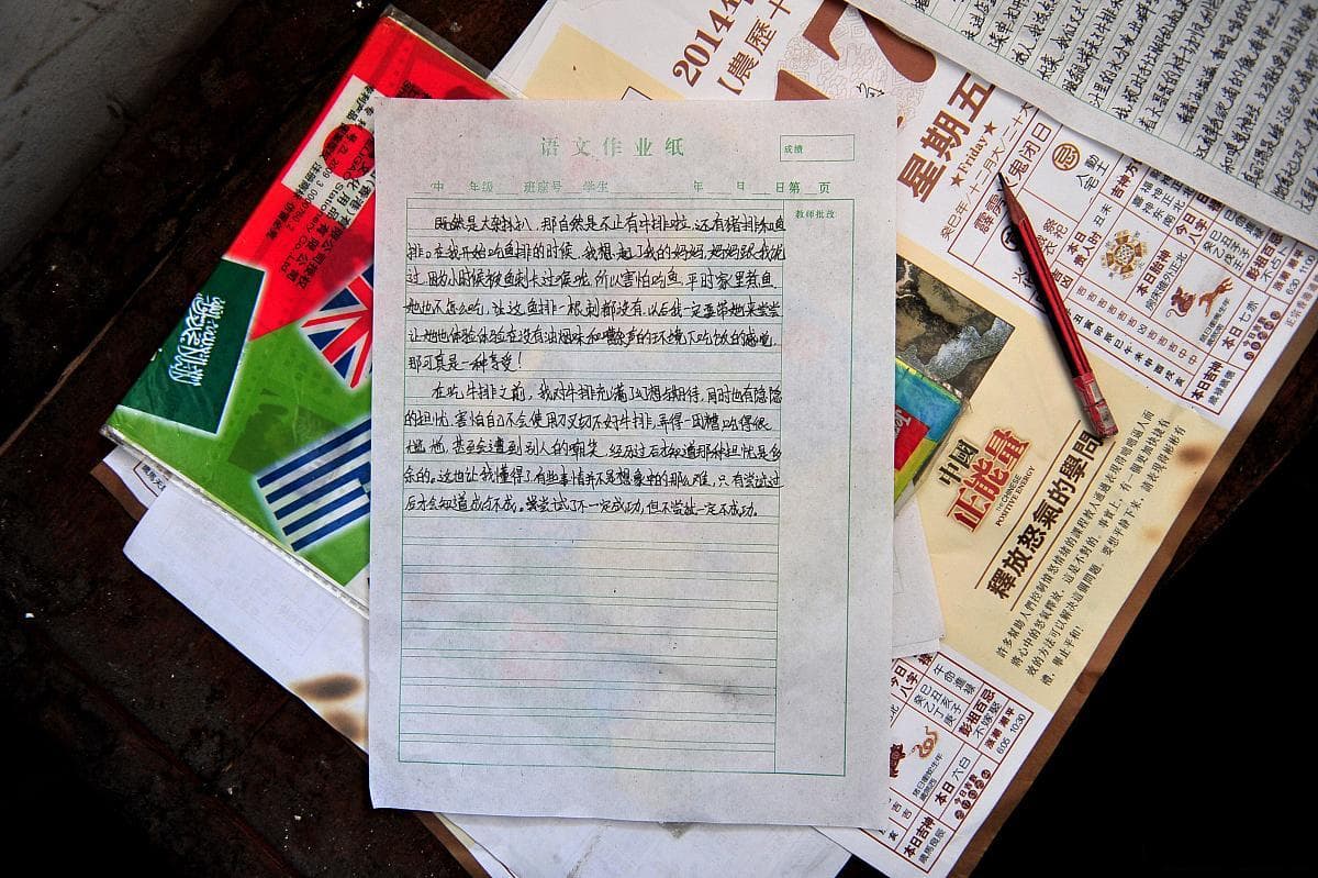中考作文命题趋势与评分细则：全面解读，高分指南