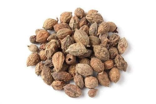 益智仁的功效与作用及配伍应用