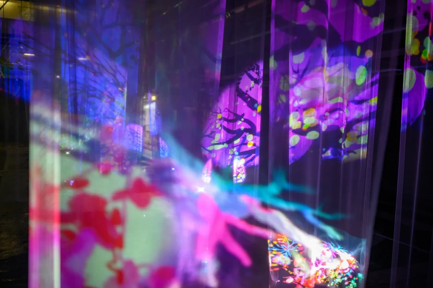 深圳亲子游新选择：teamLab+动物园，让周末更有意义