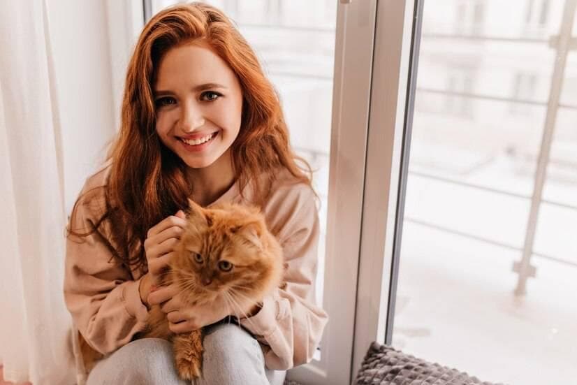 为什么越来越多的人喜欢猫咪，这些特性让人不得不爱它们