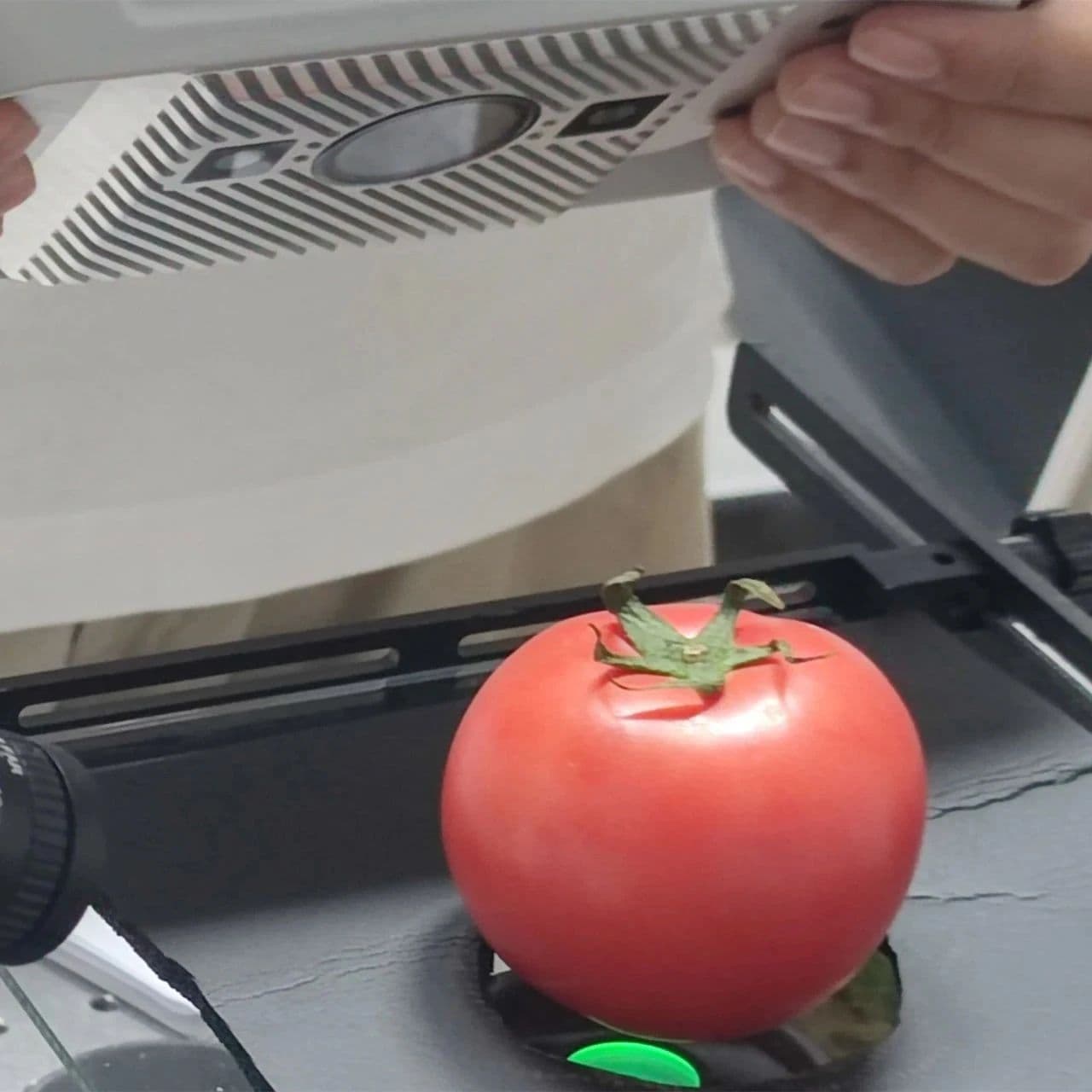 “智慧番茄”诞生记：人工智能助力现代农业转型升级