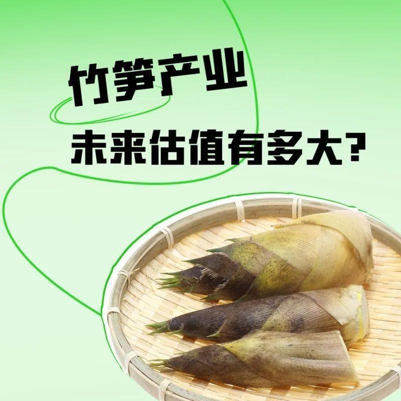 竹笋产业，未来估值有多大？