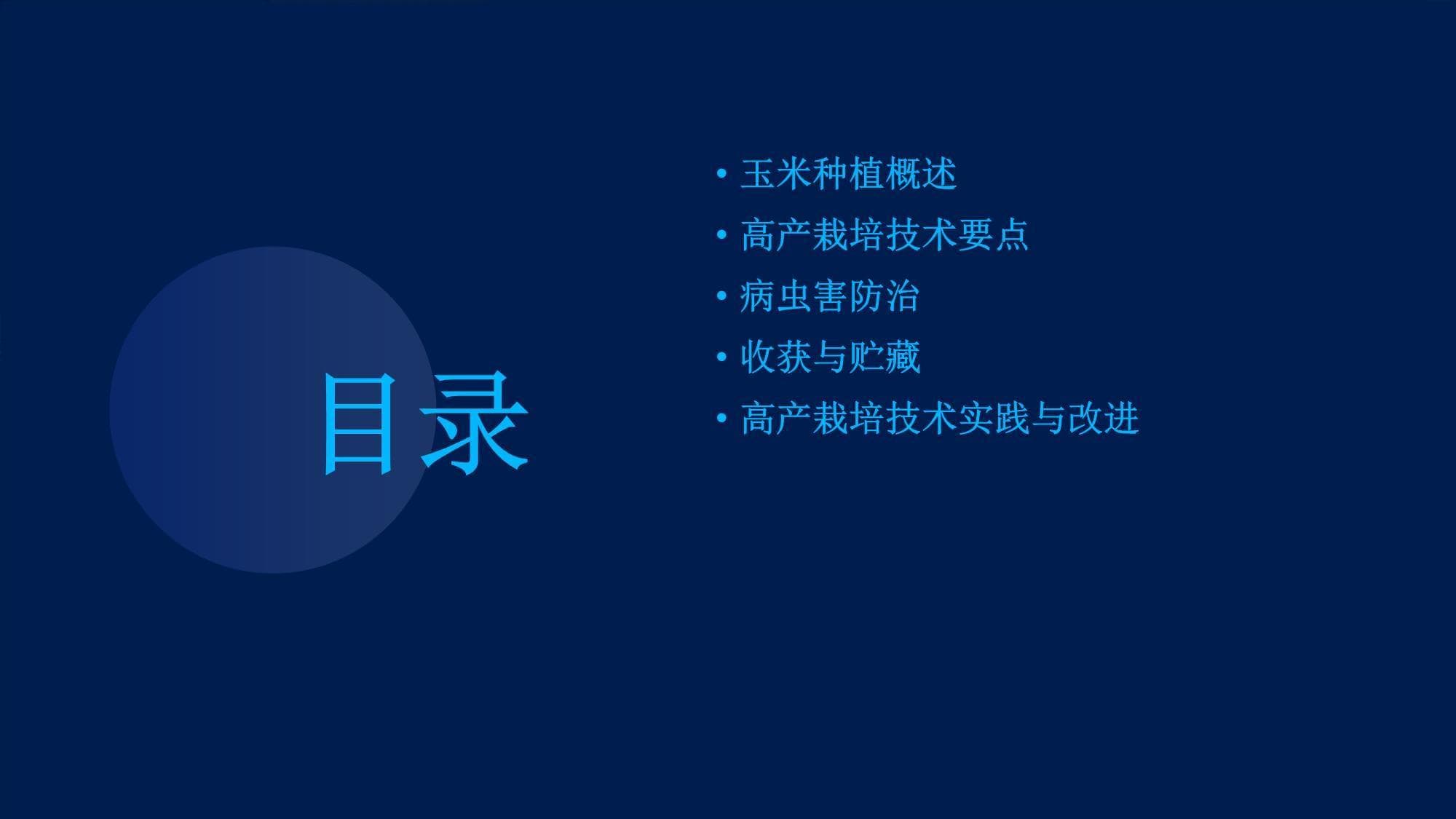 玉米高产栽培技术：种植、管理与收获全程指导