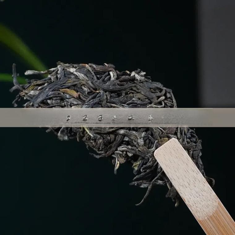 从生茶到熟茶：冰岛普洱的独特风味与品鉴要点