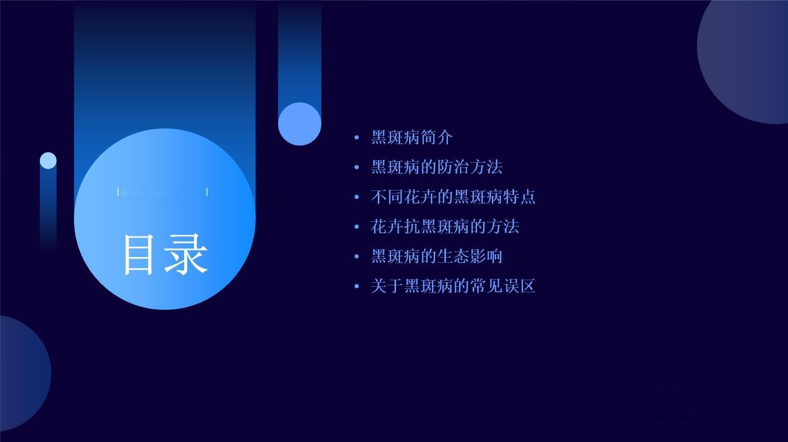 常见花卉病-黑斑病