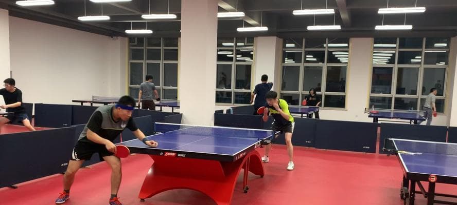 乒乓球专项步伐练习的技巧与方法（打造灵活身姿，提升比赛优势）