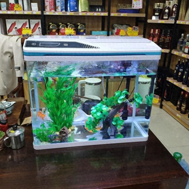 鱼缸选择与设置：打造水族箱的科学指南