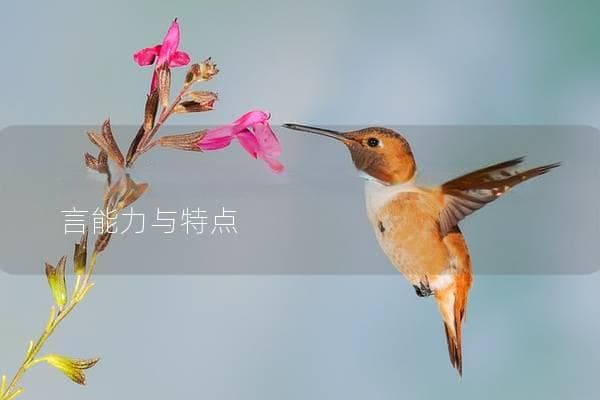 什么品种鹦鹉会说话？了解它们的语言能力与特点