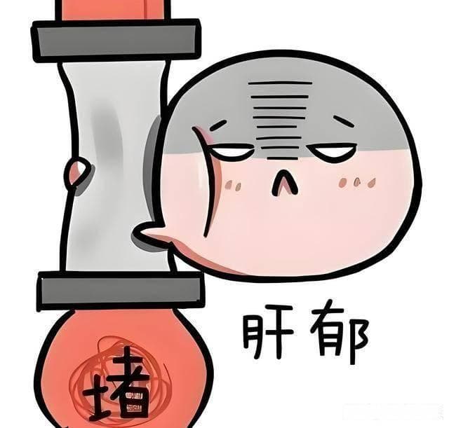 肝郁气滞不用愁，六类疏肝药，对症调理好得快