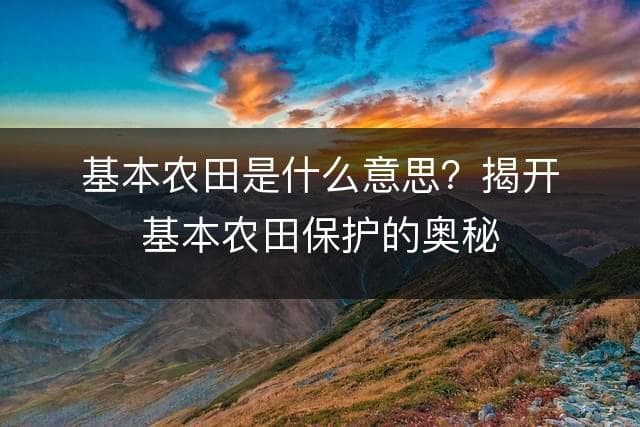 基本农田是什么意思？揭开基本农田保护的奥秘