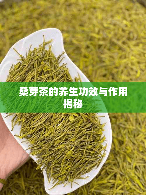 桑芽茶的养生功效与作用揭秘
