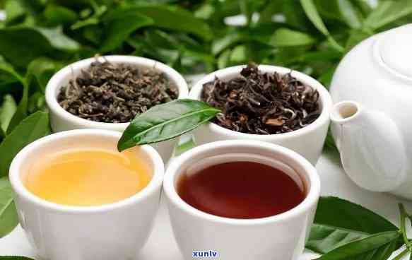 不同品种的茶怎么喝，探索茶叶的多样性：不同品种的茶如何品尝？