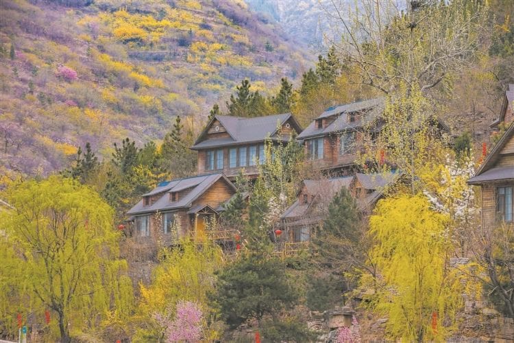 淄博景区“上新” 带你领略别样春日