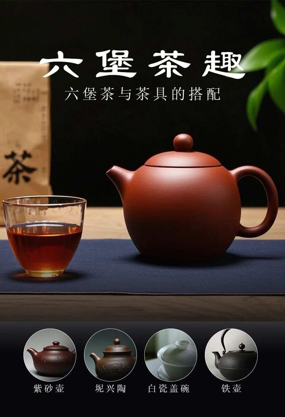 六堡茶与茶壶的搭配之道