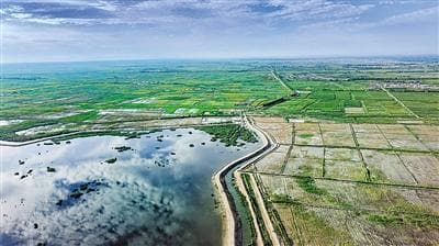 落霞与孤鹜齐飞 秋水共长天一色——内蒙古乌梁素海流域生态治理修复工程见闻
