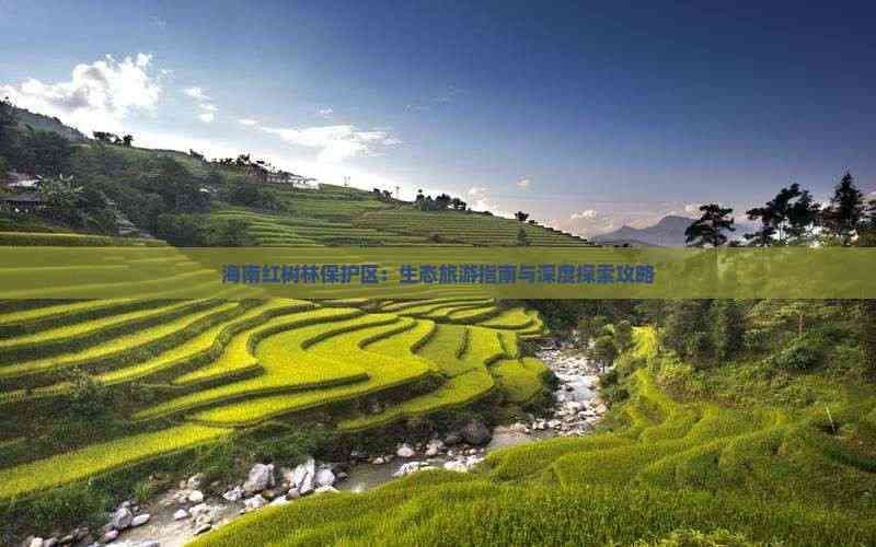 海南红树林保护区：生态旅游指南与深度探索攻略