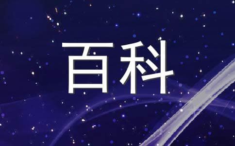 大熊座和小熊座的区别在哪里？