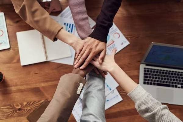 企业人力资源结构策略与实践2025篇