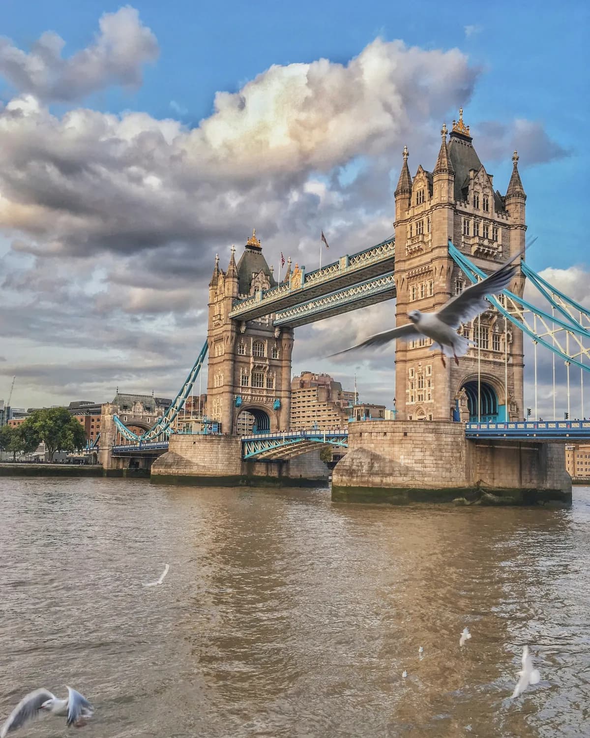 英国留学签证担保金最新政策：金额上调，这些要点需注意！
