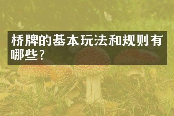 桥牌的基本玩法和规则有哪些？