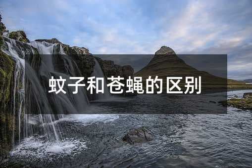 蚊子和苍蝇的区别