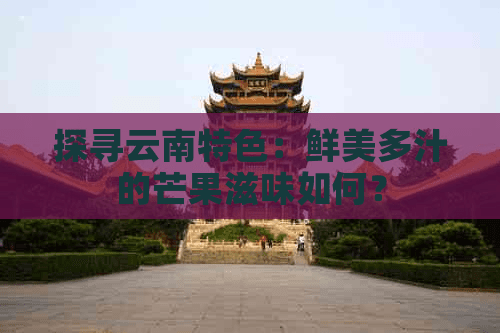 探寻云南特色：鲜美多汁的芒果滋味如何？