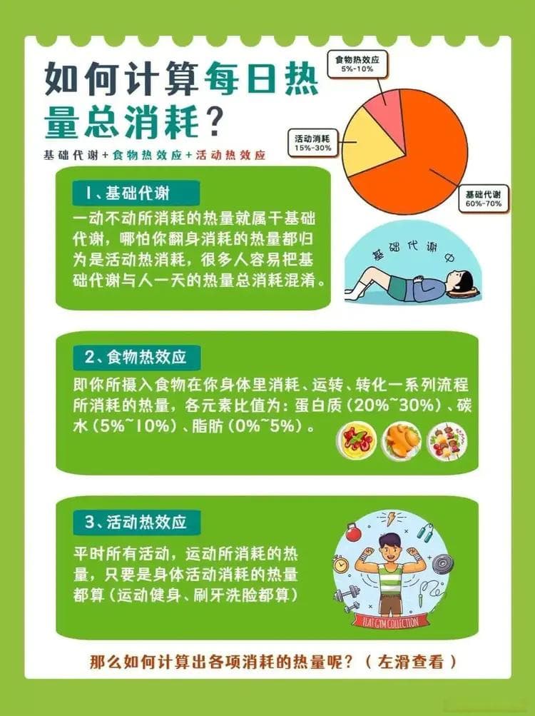 减肥饮食计划中有哪些关键要点需要注意？